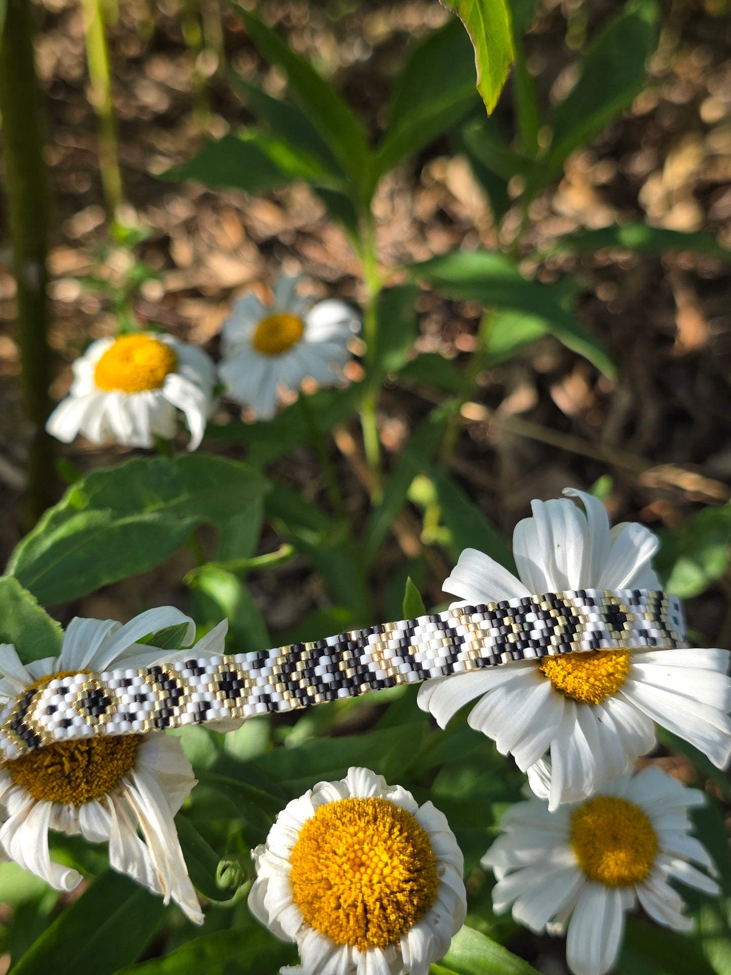 Collection Eclipse — L’élégance du contraste